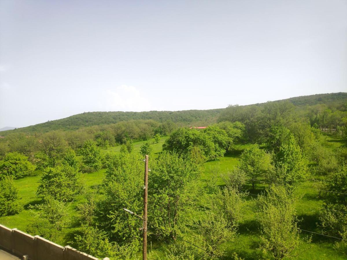 Cosy Apartment, Kechi House Located In Tsaghkadzor Exterior photo